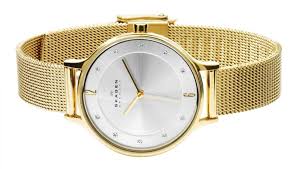 Thay Pin Đồng Hồ Skagen hình 1
