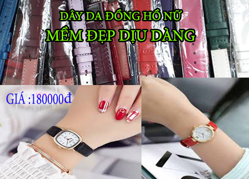 Thay Dây Đồng Hồ Skagen hình 2