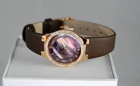 Thay Dây Đồng Hồ Skagen hình 3